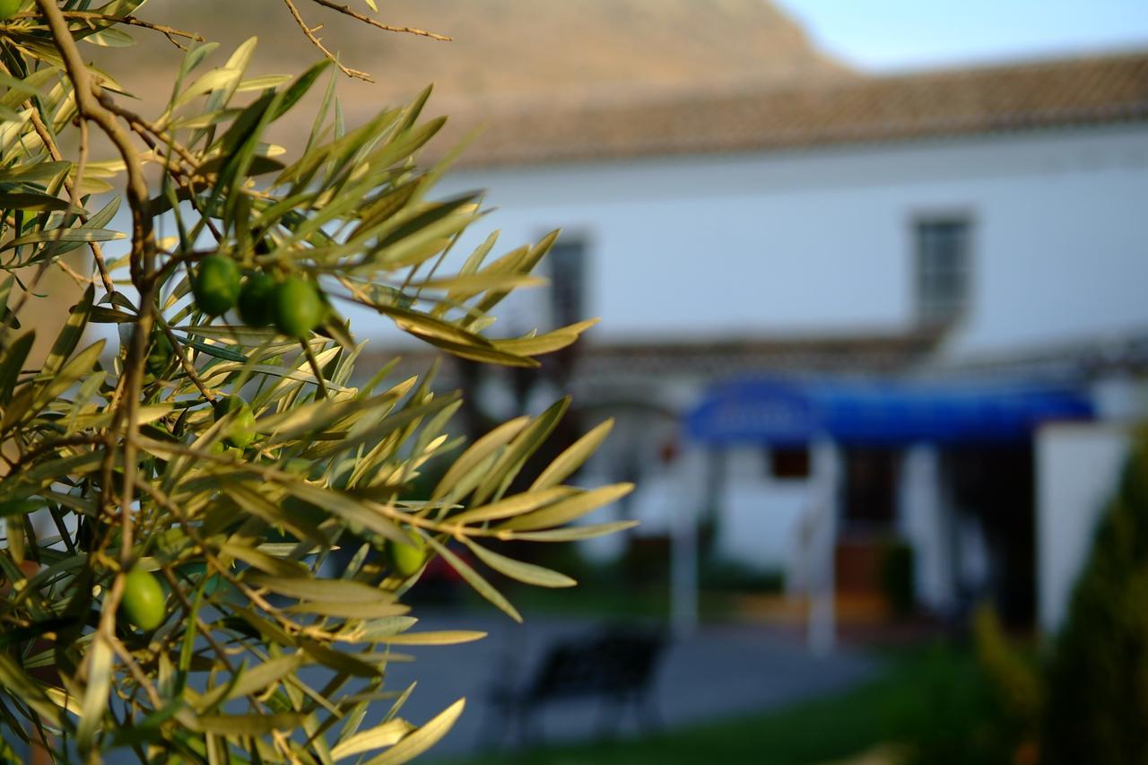 Almazara Hotel Loja Luaran gambar