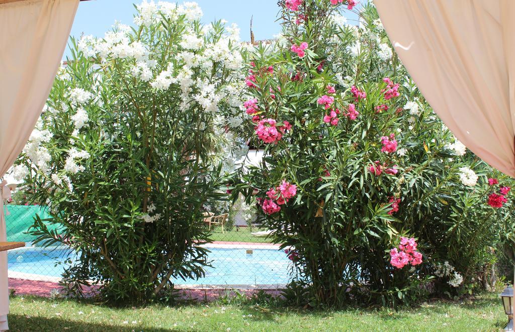 Almazara Hotel Loja Luaran gambar